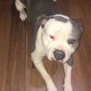 Meet your Posher, Melisa